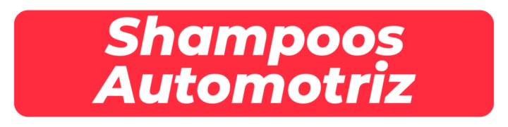 Shampoo para autos
